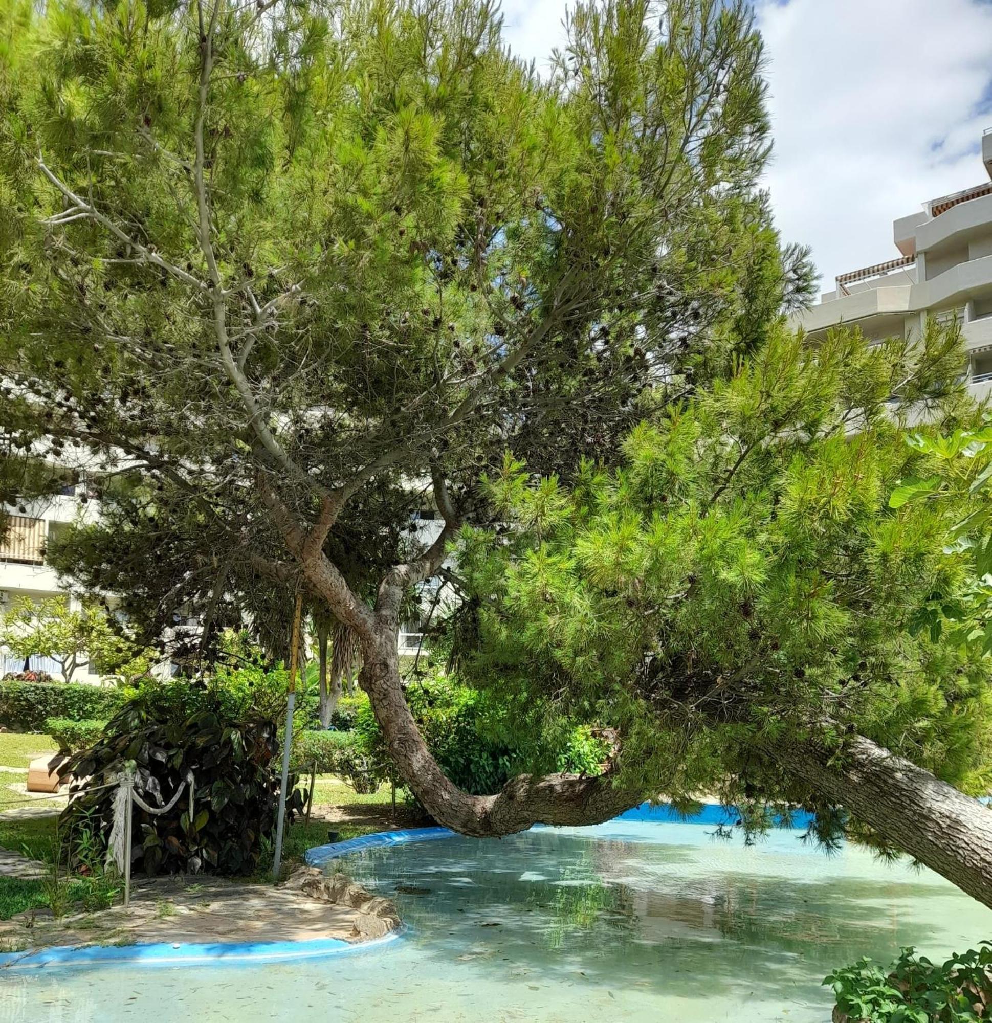 Benalbeach R&R Suite Benalmádena Esterno foto